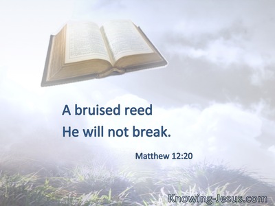 A bruised reed He will not break.